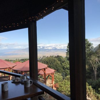 Kula Lodge & Restaurant - View - Breakfast & Brunch Near Me - Kula, Hawaii Kula Lodge & Restaurant - View - Breakfast & Brunch Near Me - Kula, Hawaii