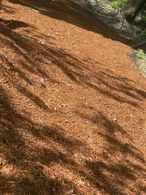 Trejo General Contractor