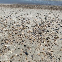 American Beach