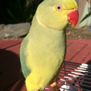 Heathers Feathers - Pet Groomers Near Me Heathers Feathers - Pet Groomers Near Me