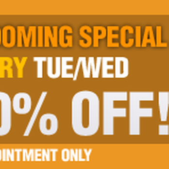Mr. Bulldog - Grooming Special Every Tue&Wed, 50% OFF - Pet Groomers Near Me - Pico Rivera, California Mr. Bulldog - Grooming Special Every Tue&Wed, 50% OFF - Pet Groomers Near Me - Pico Rivera, California