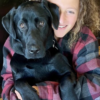 Annica Evans Dog Training - Dog Walkers Near Me Annica Evans Dog Training - Dog Walkers Near Me