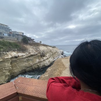 Scripps Coastal Reserve - Parks Near Me - San Diego, California
