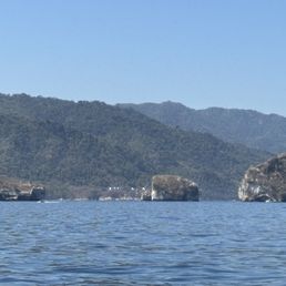The snorkeling area with an active reef