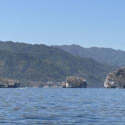 Diana's Tours - The snorkeling area with an active reef