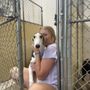Photo of Nightwatch Kennel & Pet Specialties