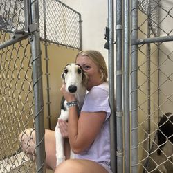 Nightwatch Kennel & Pet Specialties