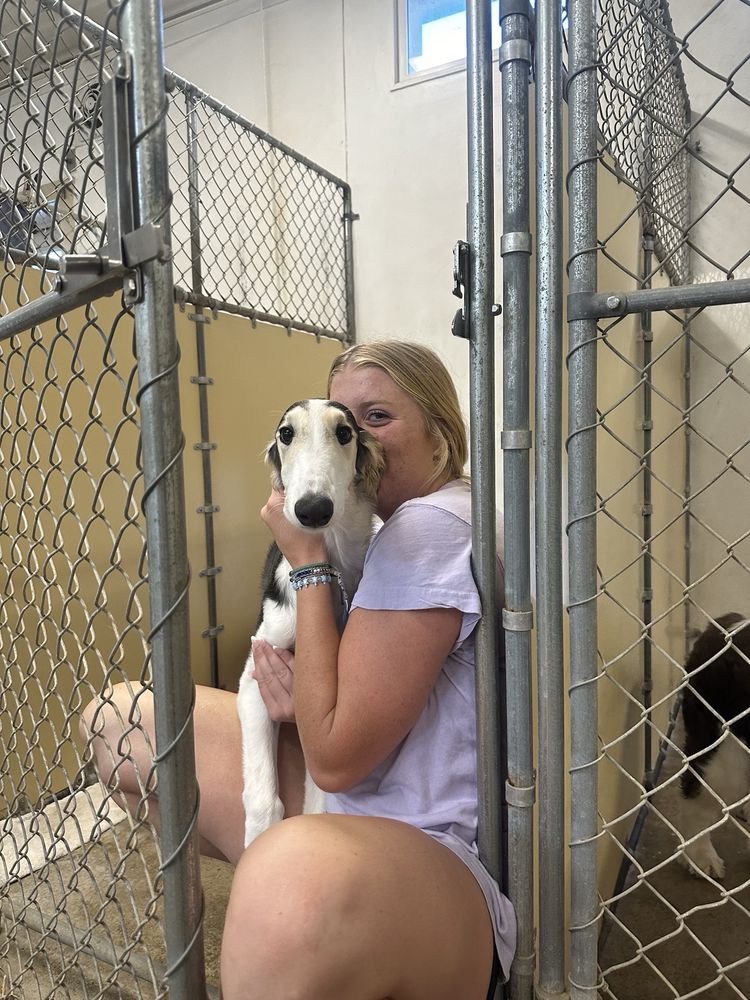 Nightwatch Kennel & Pet Specialties Image