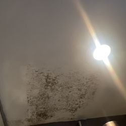 Craig’s Services LLC