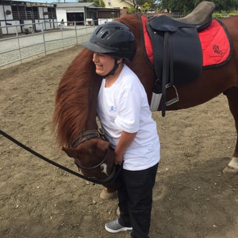 Johnny 6 Stables - Chocolate showing love - Horseback Riding Near Me - Costa Mesa, California