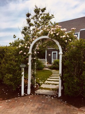 The Wauwinet by null