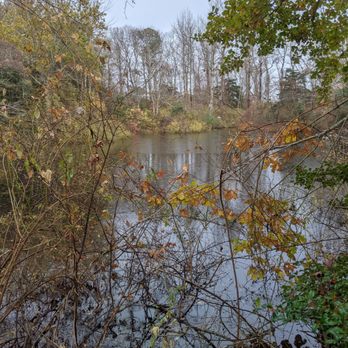 Long Pasture Wildlife Sanctuary - Pond - Parks Near Me - Barnstable, Massachusetts Long Pasture Wildlife Sanctuary - Pond - Parks Near Me - Barnstable, Massachusetts