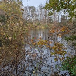 Long Pasture Wildlife Sanctuary - Pond