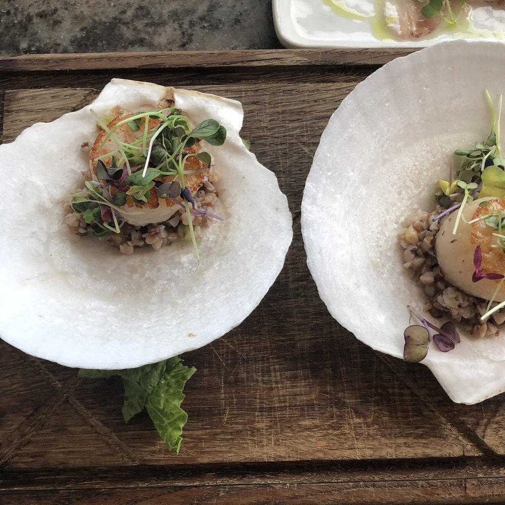 Psaraki - Scallops - Greek Near Me - Brooklyn, New York Psaraki - Scallops - Greek Near Me - Brooklyn, New York