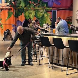Bar area - brewery is dog friendly!