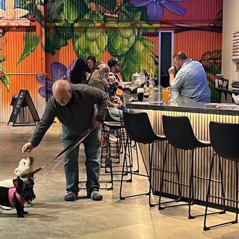 Bright Ideas Brewing Westfield - Bar area - brewery is dog friendly! - Breweries Near Me - Westfield, Massachusetts