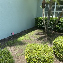 Blue Heron Landscape Management