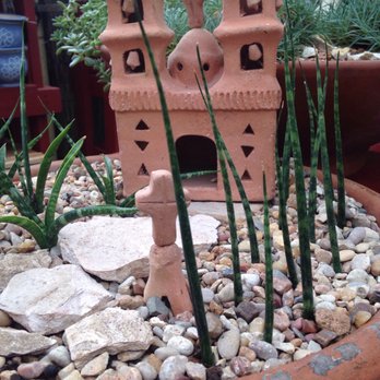 Evergreen Garden - Nurseries & Gardening Near Me - San Antonio, Texas
