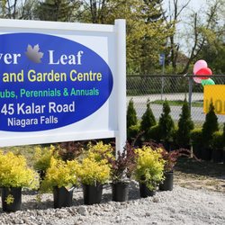 Silver Leaf Nursery & Garden Centre - Silver Leaf Nursery & Garden Centre
