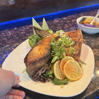Sushi Domo - The best hamachi Kama - Sushi Bars Near Me - Arlington, Texas Sushi Domo - The best hamachi Kama - Sushi Bars Near Me - Arlington, Texas