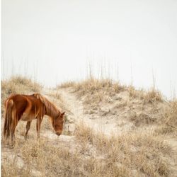 Away By The Sea
