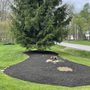 Hemlock Landscapes