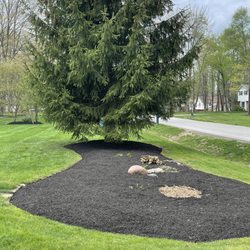 Hemlock Landscapes