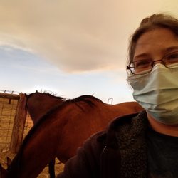 J4Brehm's Guest Ranch - Some of the horses.