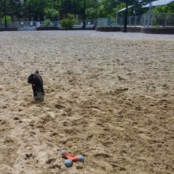James Hunter Park - My dog had a great time running around with all the open space, but hates getting sand in her mouth. - Dog Parks Near Me - Arlington, Virginia James Hunter Park - My dog had a great time running around with all the open space, but hates getting sand in her mouth. - Dog Parks Near Me - Arlington, Virginia