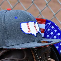 Baseballism
