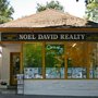 Photo of Noel David