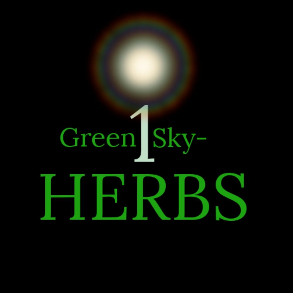 Green1Sky Logo