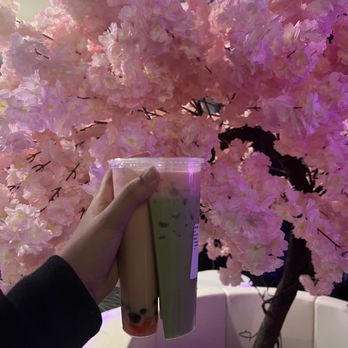 Pekoe - Bubble Tea Near Me - Fairfax, Virginia