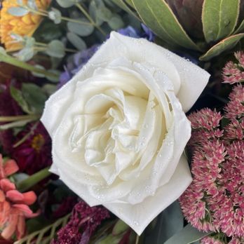 Hillside Floral & Flower Delivery - Florists Near Me - Salt Lake City, Utah Hillside Floral & Flower Delivery - Florists Near Me - Salt Lake City, Utah