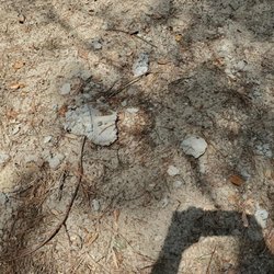 Kitty Hawk Pools & Spas - Concrete left behind.