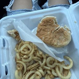 Dry sandwhich and fries Dry sandwhich and fries