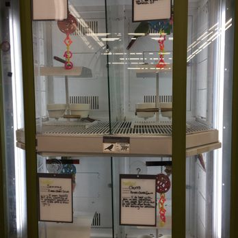 Petco - These are 4 separate cages for conures.  Not big enough and not the proper materials for proper keeping of ANY bird. - Pet Stores Near Me - Redwood City, California