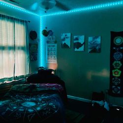 Rebel Resilience - The Healing Room