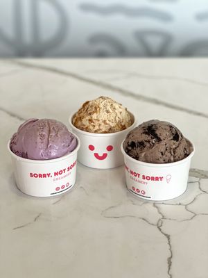 Sorry Not Sorry Creamery - Flamingo by null