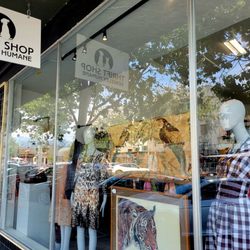 Thrift Shop Supporting Berkeley Humane - Store window with signage on left