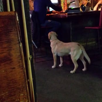 Midnite Mine - The coolest dog - Dive Bars Near Me - Fairbanks, Alaska Midnite Mine - The coolest dog - Dive Bars Near Me - Fairbanks, Alaska