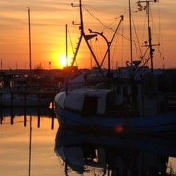 Brasseriet Gilleleje Havn