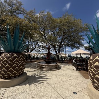 Agaves Cantina - Mexican Near Me - Summerville, South Carolina