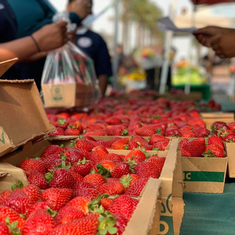 TOP 10 BEST Farmers Market in Solano County, CA - Updated 2026 - Yelp
