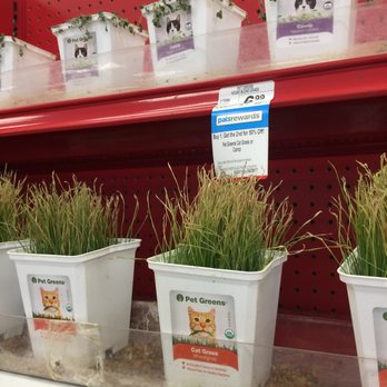 Petco - Pet Stores Near Me - Camarillo, California