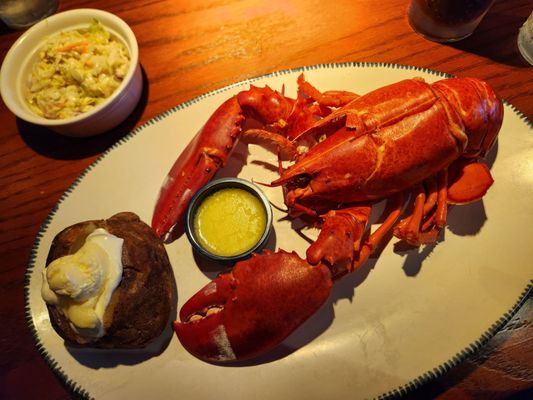Red Lobster by null