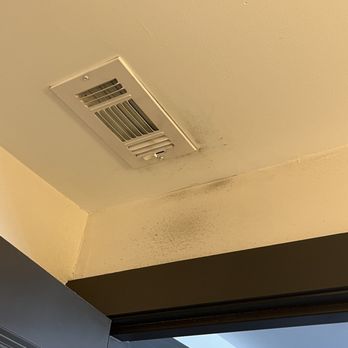 The Local Downtown - Mold in bathroom vent photo taken may 29 - Apartments Near Me - San Marcos, Texas The Local Downtown - Mold in bathroom vent photo taken may 29 - Apartments Near Me - San Marcos, Texas