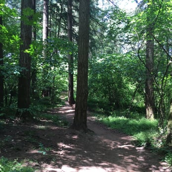 Hyland Forest Park - Trails. - Parks Near Me - Beaverton, Oregon Hyland Forest Park - Trails. - Parks Near Me - Beaverton, Oregon