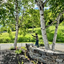 Regenerative Gardenworks