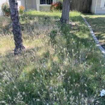 Wias Landscaping Services - Front yard before - Fences & Gates Near Me Wias Landscaping Services - Front yard before - Fences & Gates Near Me